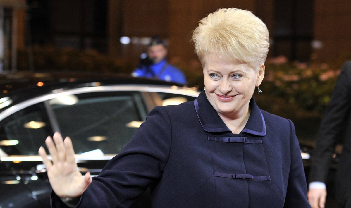 D.Grybauskaitė ES šalių vadovų susitikime