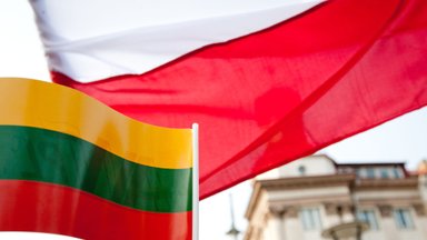 Cпикер Сейма: стратегическое партнерство Литвы и Польши выходит за рамки двусторонних отношений