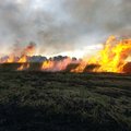 Kova su žolės degintojais: aplinkosaugininkai vardija savo ginklus