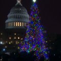 Prie Jungtinių Valstijų Kapitolijaus įžiebta Kalėdų eglė