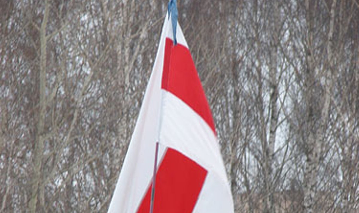 1918 Belarussian flag