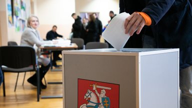 Artėjant rinkimams – svarbi žinia: pilkoji zona vis dar egzistuoja