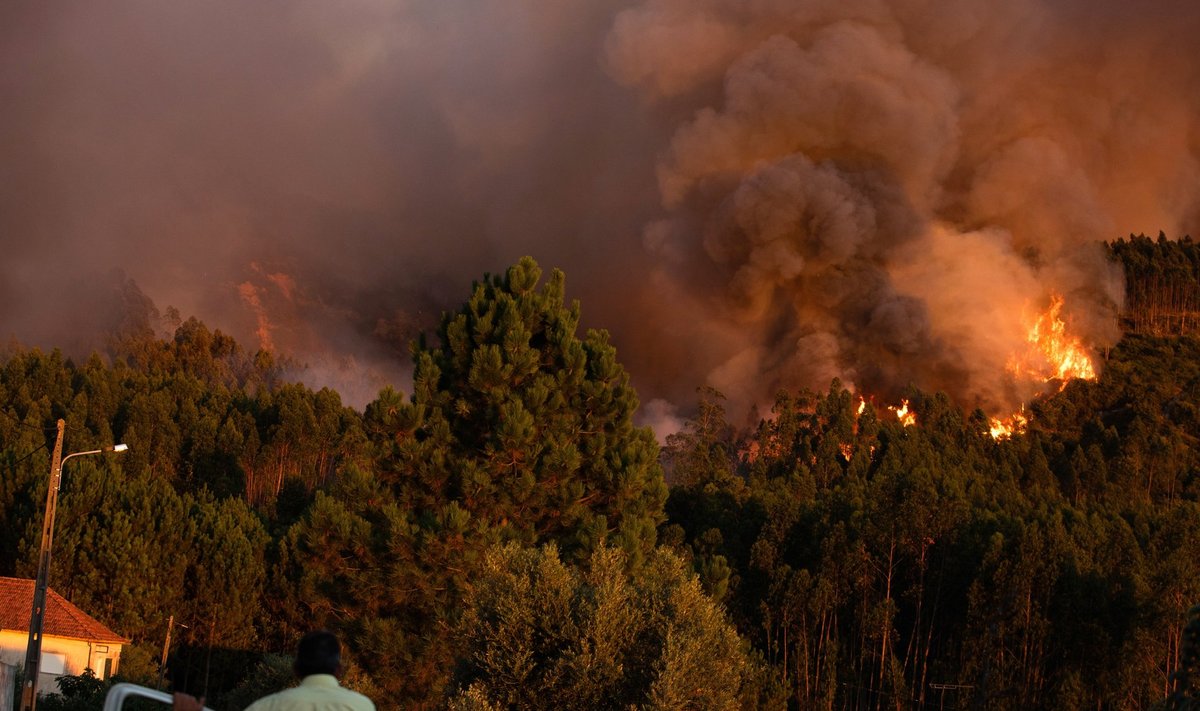 Portugaliją alinant dideliems karščiams, šalis grumiasi su miškų gaisrais