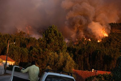 Portugaliją alinant dideliems karščiams, šalis grumiasi su miškų gaisrais