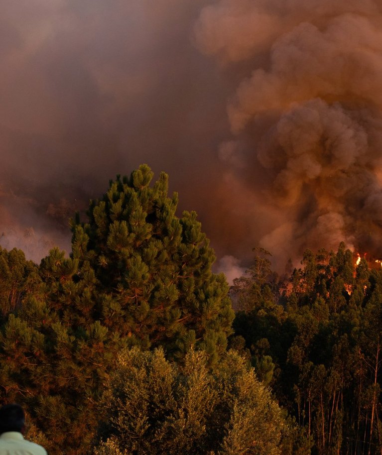 Miškų gaisrai (asociatyvi nuotr.)