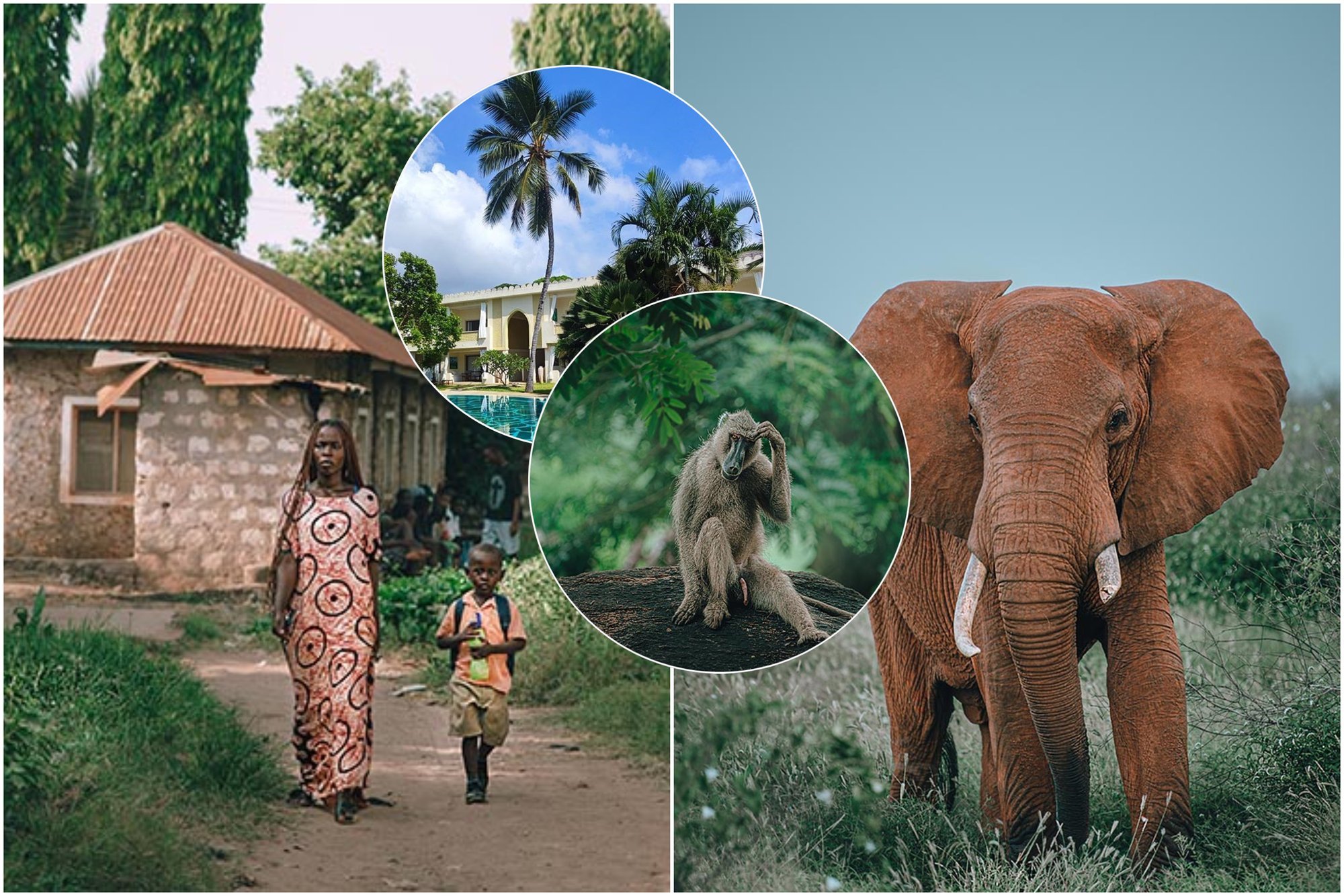 PRIX PARITANA 2023 Ashiko Ratovo exposes "Homeless" in Paris World Today Journal