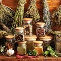 5 Lietuvoje mėgstamos vaistažolės: kuo jos naudingos ir kokiais atvejais su jomis elgtis reikėtų atsargiai