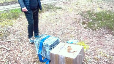 Dainavos girioje Baltarusijos pasienyje „pasiklydo“ rokiškėnas su kontrabandinėmis cigaretėmis