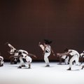 Startuojantis „Naujasis Baltijos šokis“: nenustosime apie pasaulį kalbėti šokiu