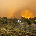 Ispanijos La Palmos saloje dėl miško gaisro evakuota šimtai žmonių