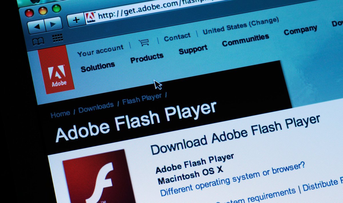 "Adobe Flash Player"