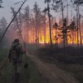 Rusijoje ir Šiaurės Amerikoje plinta ekstremalūs miškų gaisrai