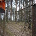 Lygūs ir lygesni: į mišką patekti neleidžia su kandidatu į Seimą siejama tvora