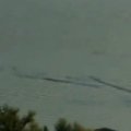 Kanadietis teigia nufilmavęs Kanados ežero monstrą – Ogopogo
