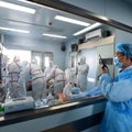 PSO: Kinija užfiksavo pirmąją pasaulyje žmogaus mirtį nuo paukščių gripo sukėlėjo H3N8
