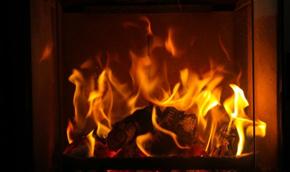 Židinyje degančios malkos gali būti užterštos radiaktyvia medžiaga