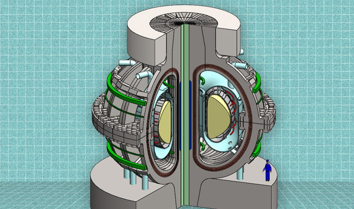 Termobranduolinio ARC reaktoriaus pjūvis (MIT iliustr.)