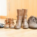 Anykščių „Humanoje” – grumtynės dėl senų batų