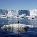 Po Antarktidos ledynais atrasti didžiuliai kalnų masyvai