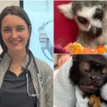 Egzotinių gyvūnų gydytojos diena gyvūnų ligoninėje: nuo žuvytės konsultacijos iki barzdotosios agamos gydymo