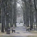 Seimas: viešiems miestų želdynams bus galima perimti privačią žemę