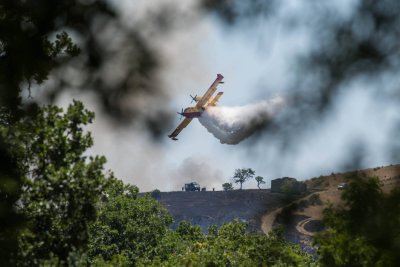Miškų gaisrai Sicilijoje