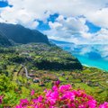 Madeirą išnaršiusi keliautoja sako, kad nepasigailėsite čia atvykę pavasarį: ką šiuo metu čia galima pamatyti ir nuveikti