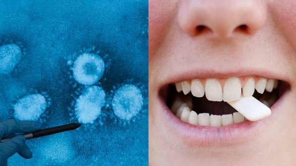 Mokslininkai sukūrė kramtomąją gumą nuo koronaviruso: eksperimento rezultatas neįtikėtinas – sunaikino net 95 proc. omikron ir delta užkrato