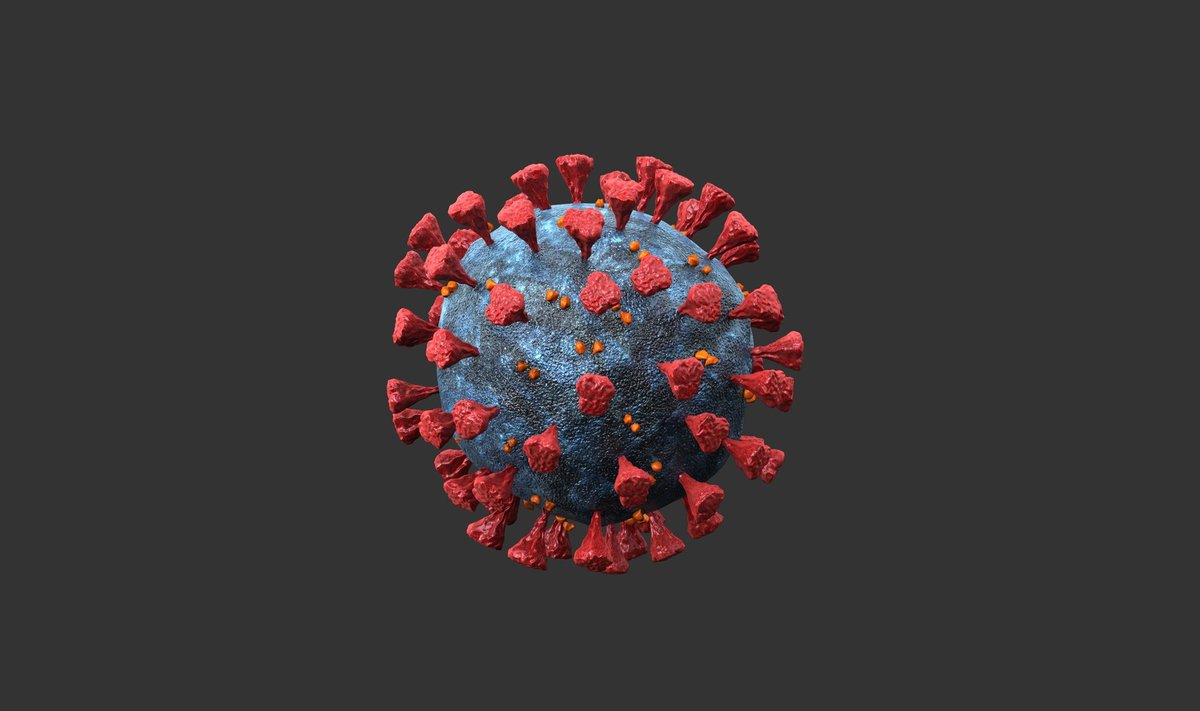 Koronavirusas 