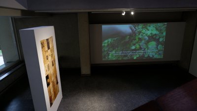 Karolina Ūla Valentaitė, paroda "Raganų dienoraščiai", galerija „5 malūnai" (Asm. albumas)