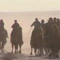 Mongolijoje surengtos didžiausios kupranugarių lenktynės