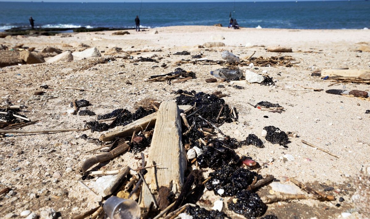 Izraelis skuba išvalyti naftos produktais užterštus paplūdimius