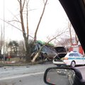 В Клайпеде автобус врезался в дерево, есть пострадавшие