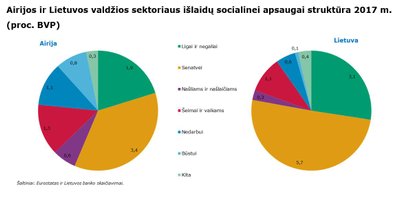 Airijos ir Lietuvos valdžios sektoriaus išlaidų socialinei apsaugai struktūra 2017 m. (proc. BVP)