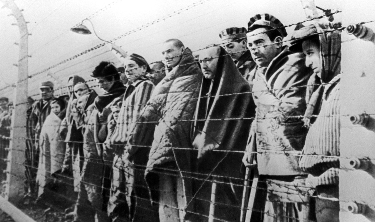 Aušvico koncentracijos stovykla