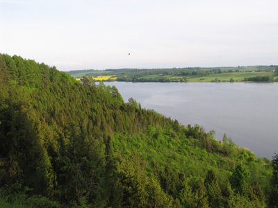 Pažintinis takas Arlaviškių kadagyne