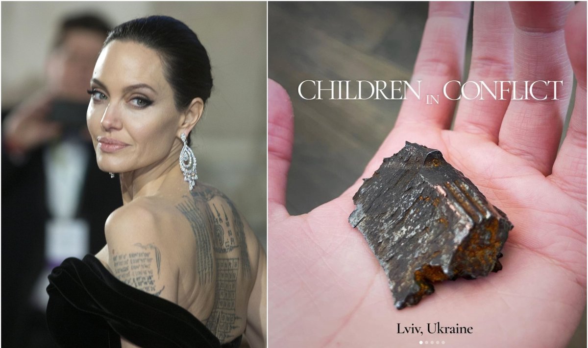 Angelina Jolie ir rasta bombos dalis / Foto: Vida Press, Instagram