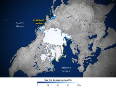 Tirpstantis ledas Arktyje. 
