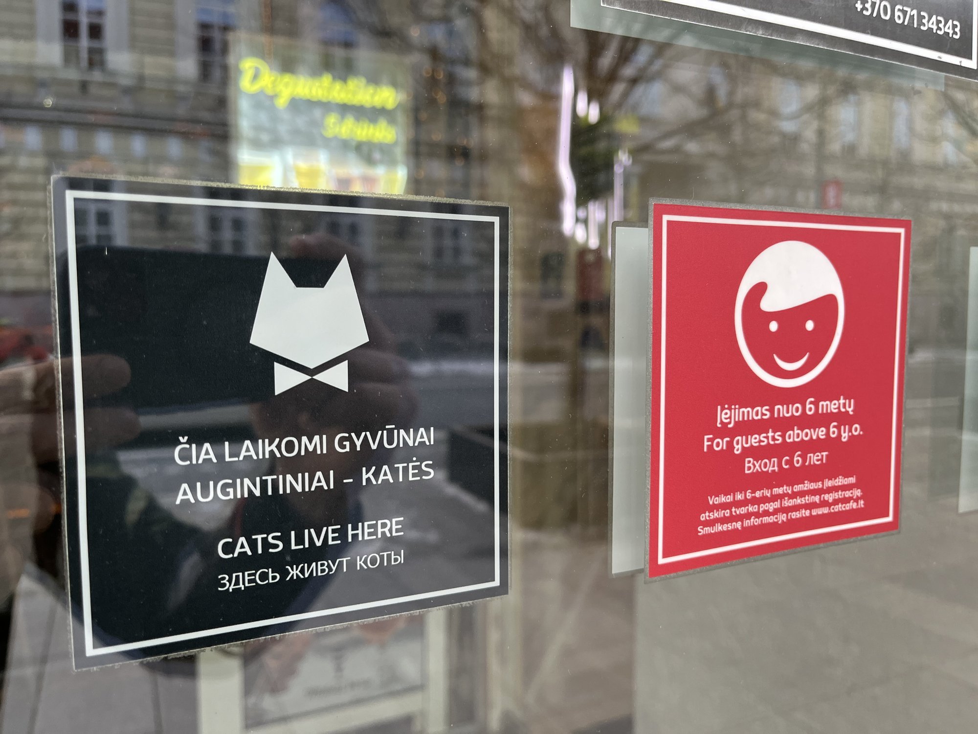 Spór o koty dziecka w kawiarni zakończył się wybuchem wileńskiego mężczyzny: Spotkam cię na ulicy – przelecę cię