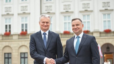 Президенты Литвы и Польши наблюдали за ходом совместных военных учений