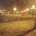 Paaiškėjo, kas iš tiesų niokoja gražiausią Vilniaus parką