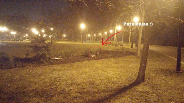 Paaiškėjo, kas iš tiesų niokoja gražiausią Vilniaus parką