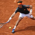D. Ferreras – ATP turnyro Švedijoje ketvirtfinalyje