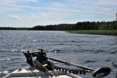 Baltieji Lakajai vasarą