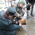 Sujaudintos moters dovana atskraidinta į Lietuvą: šis mažas šunelis pakeis tragiškai žuvusį Ramzį