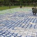 Kolumbija konfiskavo didžiausią kokaino kiekį istorijoje