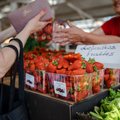 Prasidėjus vaisių ir daržovių lauko prekybai, perspėja gyventojus: neapdairus elgesys gali nulemti sveikatos problemas