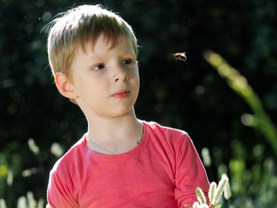Vaiką kanda vabzdžiai
