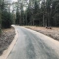 Atnaujinamas Kleboniškio parko pėsčiųjų-dviračių takas