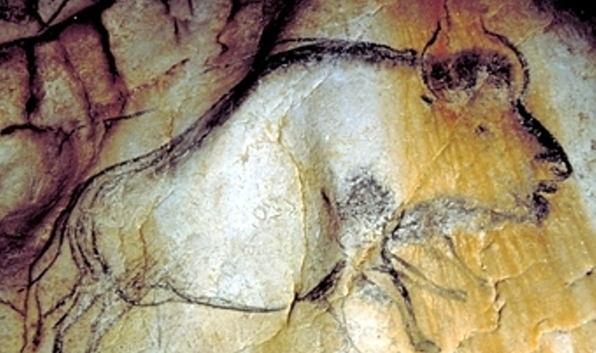 	Изображение бизона с наложением двух позиций ног. Фото M. Azema, J. Clottes, Chauvet Cave scientific team